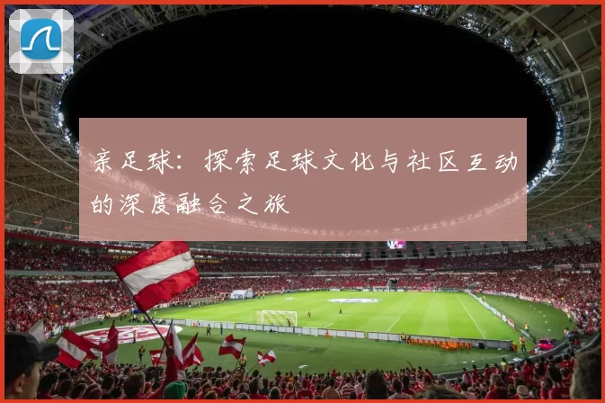 亲足球：探索足球文化与社区互动的深度融合之旅