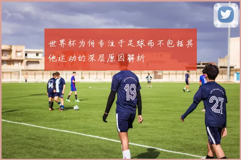 世界杯为何专注于足球而不包括其他运动的深层原因解析