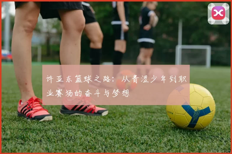 许亚东篮球之路：从青涩少年到职业赛场的奋斗与梦想