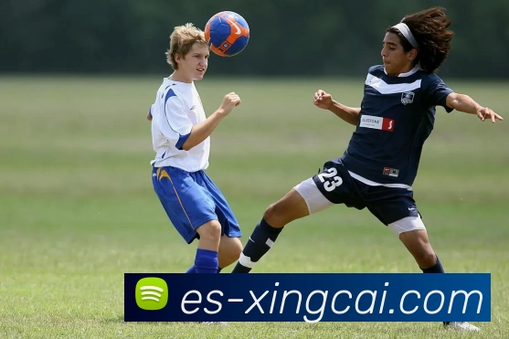 杏彩体育平台生态图